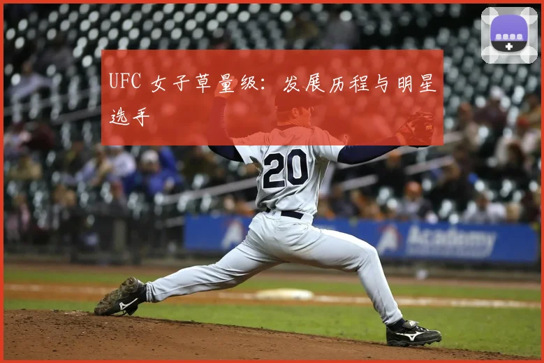 UFC 女子草量级:发展历程与明星选手